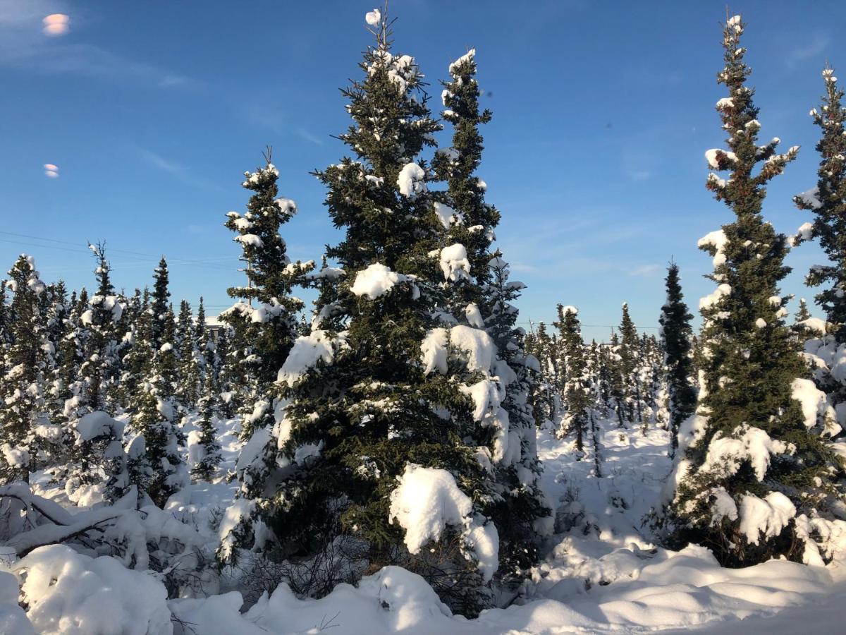 Aurora Denali Lodge Хийли Екстериор снимка